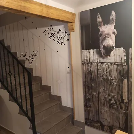 La Casa De La Abuela Desi *