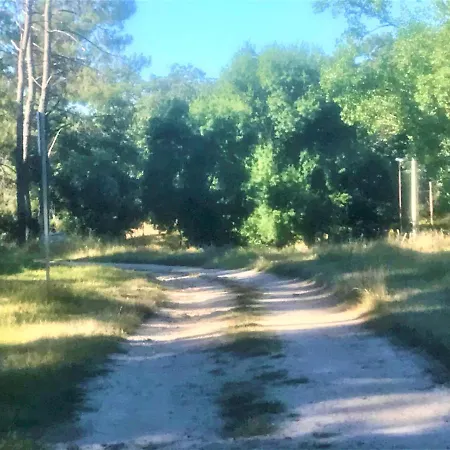 Vakantiehuis La Casa De La Abuela Desi *