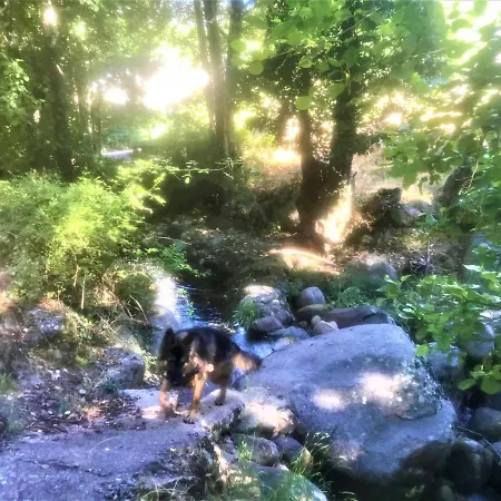 La Casa De La Abuela Desi Ferienhaus