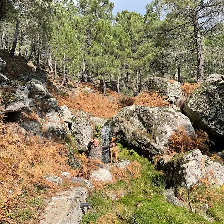La Casa De La Abuela Desi Casavieja