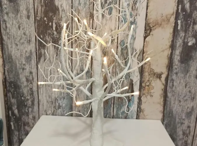 La Casa De La Abuela Desi *