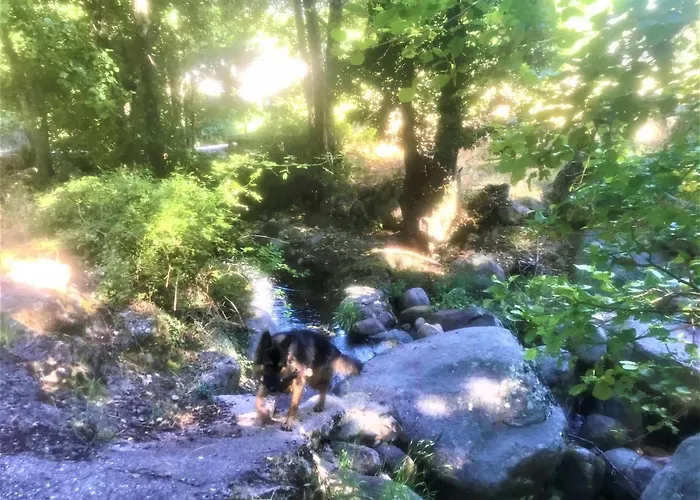 La Casa De La Abuela Desi בית נופש